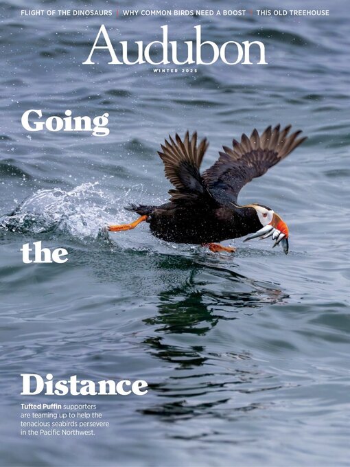 Title details for Audubon Magazine by National Audubon Society - Available